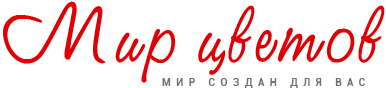 Мир цветов